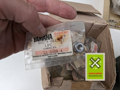 PXL_20240528_173815402